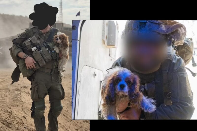Pet dog kidnapped by Hamas on October 7 is rescued in Gaza: இஸ்ரேல் நாயை கடத்திய ஹமால்: மீட்டு எடுத்த இஸ்ரேல் படை என்னம்மா இப்படி