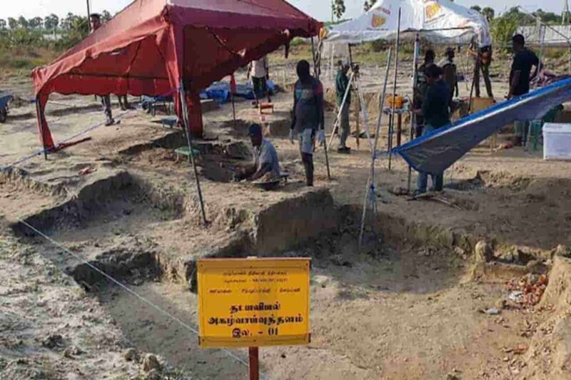 செம்மணி சித்துப்பாத்தி: 56 மனித எலும்புக்கூடுகள் அடையாளம்!