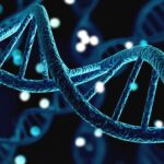 மனித DNAல் 20% DNA மர்ம மூதாதையரிடமிருந்து வந்ததா ? விஞ்ஞானிகள்