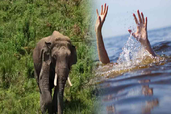 யானையை கண்டு ஆற்றில் குதித்த தந்தை மகன்