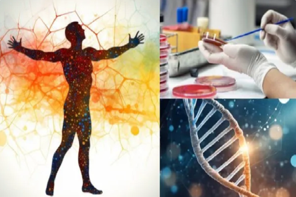 சிரஞ்சீவி.. இனி மனிதர்களுக்கு சாவே கிடையாது! பாக்டீரியாவில் நிகழப்போகும் அதிசயம்!